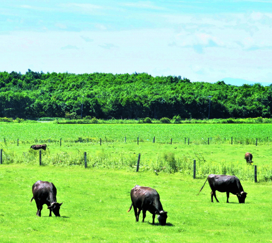 ふらの和牛を食す